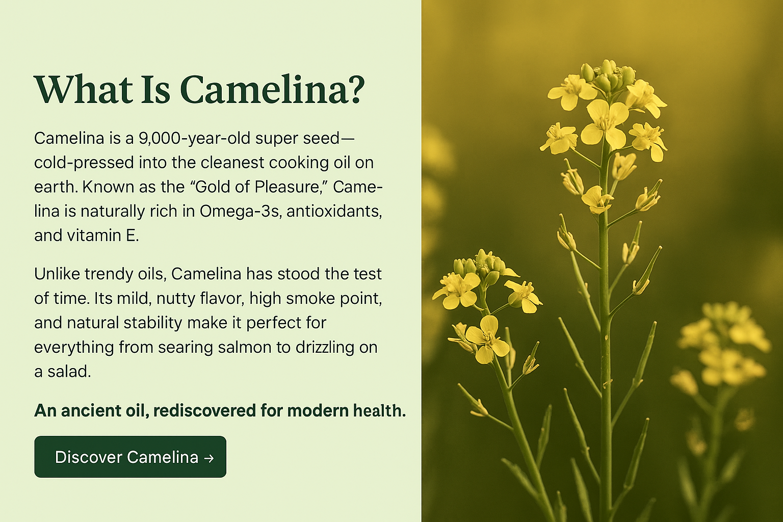 I Love Camelina